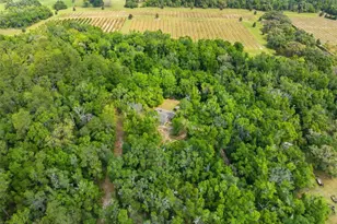 11459 Trail Rdg Run, Brooksville, FL 34601 - Photo 63