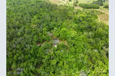 11459 Trail Ridge Run, Brooksville, FL 34601 - Photo 59