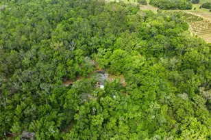 11459 Trail Rdg Run, Brooksville, FL 34601 - Photo 59