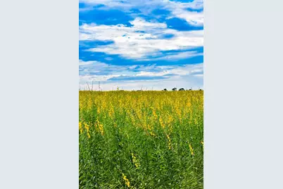 7296 NW 170th Street, Trenton, FL 32693 - Photo 35