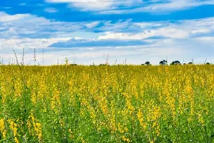 7296 NW 170th St, Trenton, FL 32693 - Photo 35