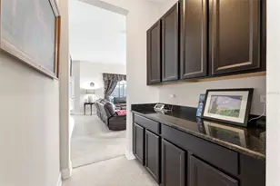 4924 Butler National Dr, Wesley Chapel, FL 33543 - Photo 13