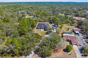 14258 Mulkerin Dr, Weeki Wachee, FL 34614 - Photo 53