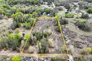 17783 Bonifay Ln, Spring Hill, FL 34610 - Photo 1