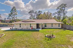 9720 Delray Dr, New Port Richey, FL 34654 - Photo 5