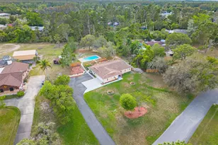 9720 Delray Dr, New Port Richey, FL 34654 - Photo 11