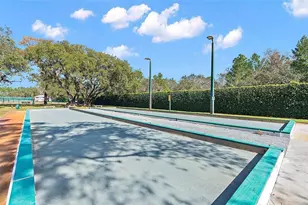 9013 Mississippi Run, Weeki Wachee, FL 34613 - Photo 95