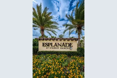 11151 Calluna Drive, Odessa, FL 33556 - Photo 59