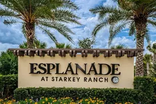 11151 Calluna Dr, Odessa, FL 33556 - Photo 59