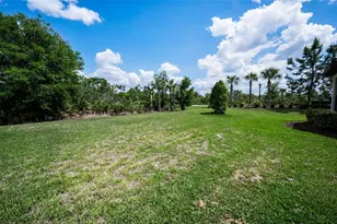 11151 Calluna Dr, Odessa, FL 33556 - Photo 41