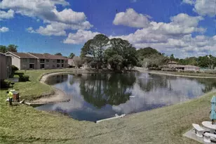 6519 Spring Flower Dr, New Port Richey, FL 34653 - Photo 17