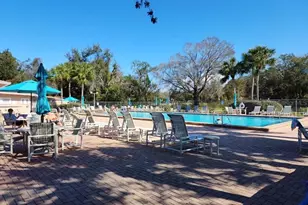 4908 Myrtle Oak Dr, New Port Richey, FL 34653 - Photo 39