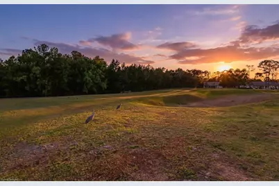 11718 Wheatfield Loop, Hudson, FL 34667 - Photo 55
