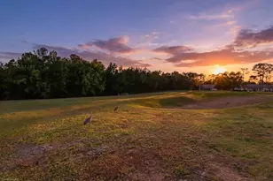 11718 Wheatfield Loop, Hudson, FL 34667 - Photo 55