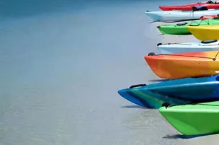 7 Eagle Ln, Palm Harbor, FL 34683 - Photo 73