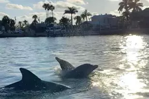 1016 Windsor Hill Way, Tarpon Springs, FL 34689 - Photo 25