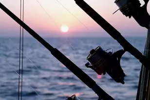 1016 Windsor Hill Way, Tarpon Springs, FL 34689 - Photo 23