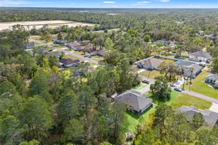 11128 Lomita Wren Rd, Weeki Wachee, FL 34614 - Photo 35