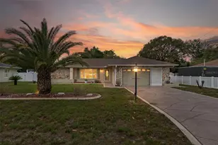 3217 Abeline Rd, Spring Hill, FL 34608 - Photo 3