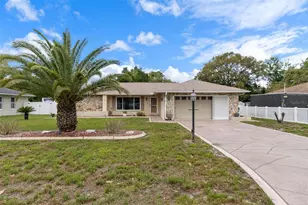 3217 Abeline Rd, Spring Hill, FL 34608 - Photo 1