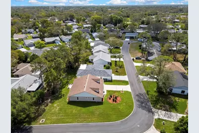 6433 Lost Tree Lane, Spring Hill, FL 34606 - Photo 27