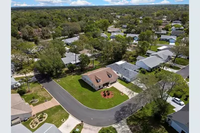 6433 Lost Tree Lane, Spring Hill, FL 34606 - Photo 9