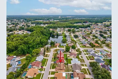 4242 Riverwood Drive, New Port Richey, FL 34653 - Photo 43