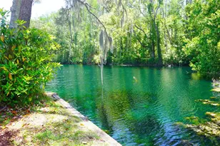 1873 Mazo Manor, Lutz, FL 33558 - Photo 3