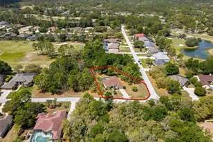 2 Woodlee Ct S, Homosassa, FL 34446 - Photo 67