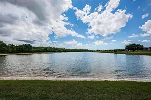 1050 Maravista Dr, Trinity, FL 34655 - Photo 55