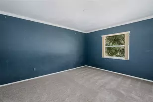 9947 Grove Dr, New Port Richey, FL 34654 - Photo 29
