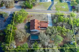 9947 Grove Dr, New Port Richey, FL 34654 - Photo 3