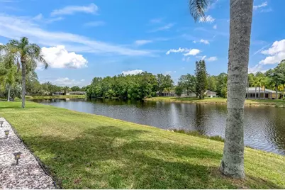 2487 Saddlewood Lane, Palm Harbor, FL 34685 - Photo 45