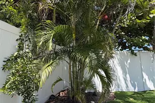 3500 Overlook Dr NE, Saint Petersburg, FL 33703 - Photo 3