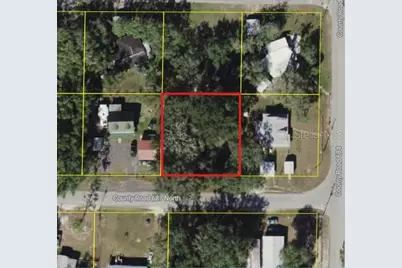 Cr 687, Webster, FL 33597 - Photo 3