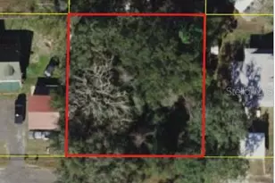 Cr 687, Webster, FL 33597 - Photo 1