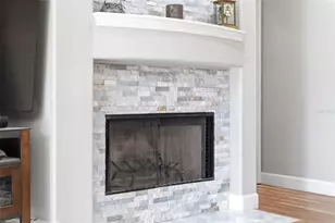 19708 Wellington Manor Blvd, Lutz, FL 33549 - Photo 29