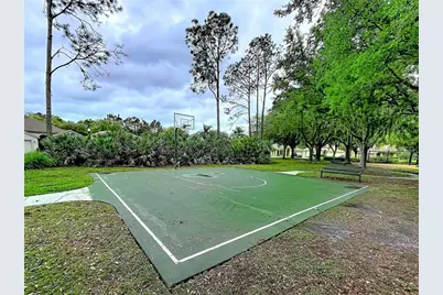 27509 Edenfield Drive, Wesley Chapel, FL 33544 - Photo 41