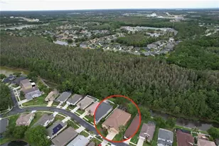 27509 Edenfield Dr, Wesley Chapel, FL 33544 - Photo 53