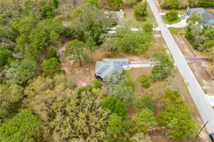 16620 Kerry Hills Ln, Spring Hill, FL 34610 - Photo 49