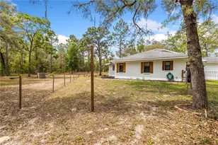 16620 Kerry Hills Ln, Spring Hill, FL 34610 - Photo 29