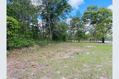 8390 Langworthy Drive, Brooksville, FL 34613 - Photo 13