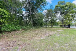 8390 Langworthy Dr, Brooksville, FL 34613 - Photo 13