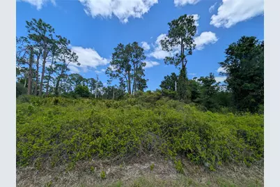 784 Washington Boulevard NE, Lake Placid, FL 33852 - Photo 1