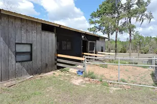 28448 Wildlife Ln, Brooksville, FL 34602 - Photo 13