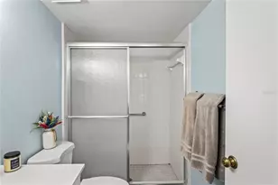 3232 Lake Pine Way, Tarpon Springs, FL 34688 - Photo 21