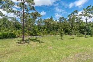 5042 Night Star Trail, Odessa, FL 33556 - Photo 45