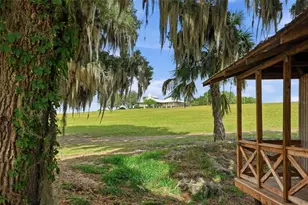 18610 Townsend House Rd, Dade City, FL 33523 - Photo 3