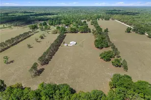 4639 SW Wilson Springs Rd, Fort White, FL 32038 - Photo 47