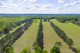 4639 SW Wilson Springs Rd, Fort White, FL 32038 - Photo 53